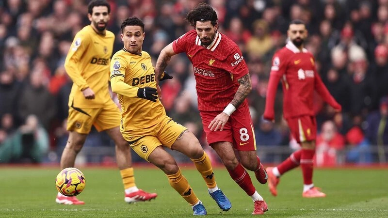 Wolves vs Liverpool - Chiến  thắng bất ngờ cho Bầy Sói